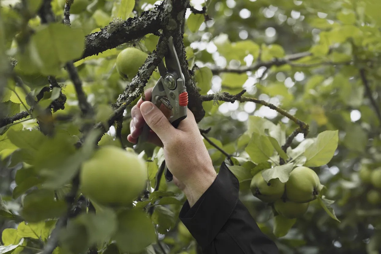 Sécateur Husqvarna taille Large