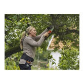 Ceinture à outils, jardinage  Ceinture à outils, jardinage