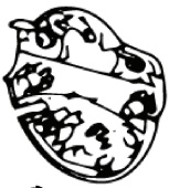 Coffret Inferieur (Euro 5746268-01 Coffret Inferieur (Euro 5746268-01