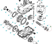 Plateau 5803201-01 Plateau 5803201-01