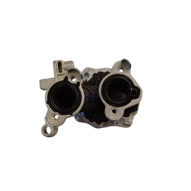 Pipe d'admission Complète 5808328-02