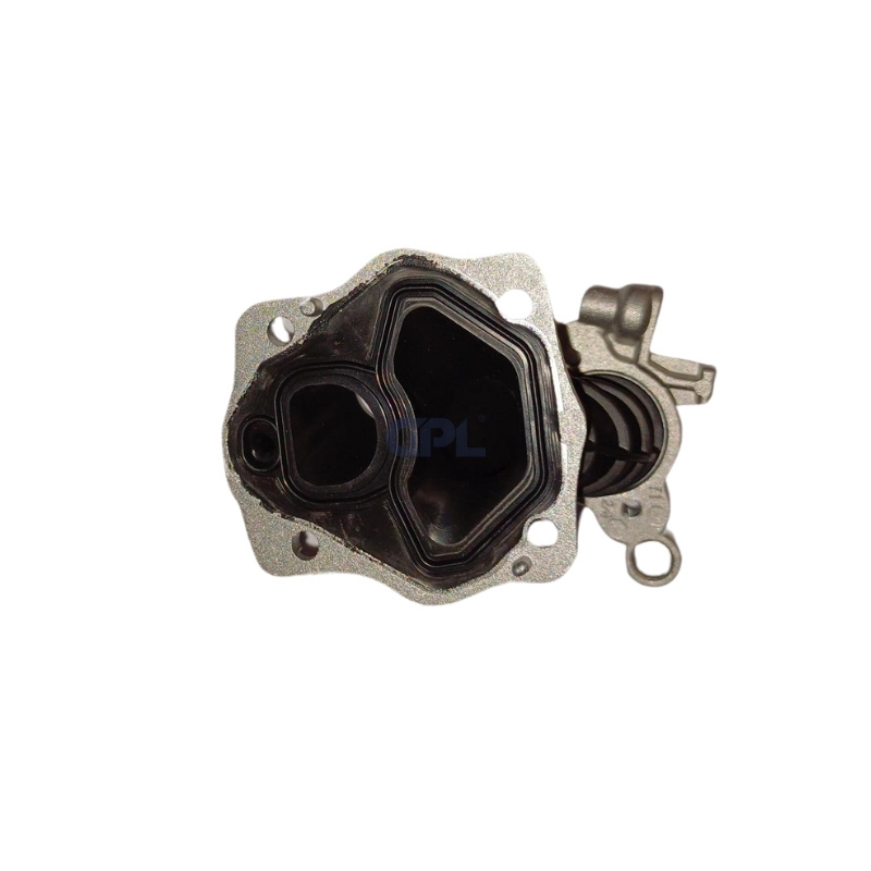 Pipe d'admission Complète 5808328-02