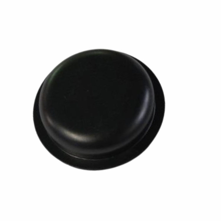 Capsule De Moyeu 5817375-01