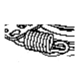 Plume 5826737-01 Plume 5826737-01