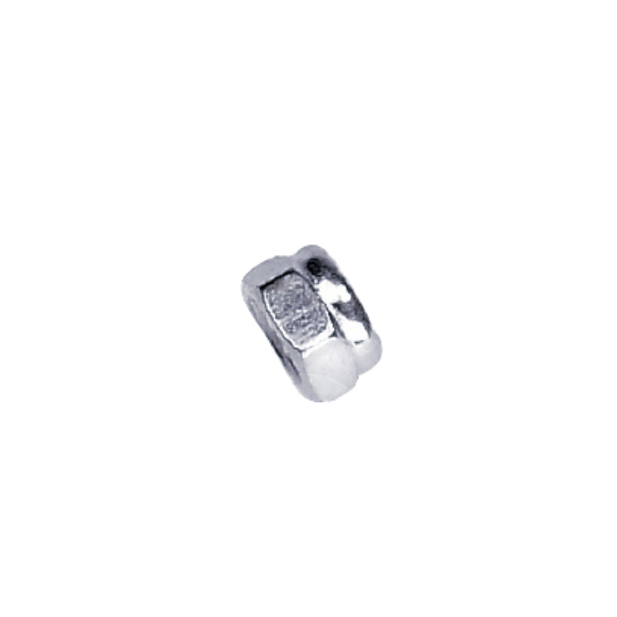 Noix 5866472-01