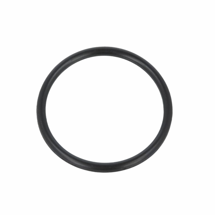 Joint Torique 5879428-01