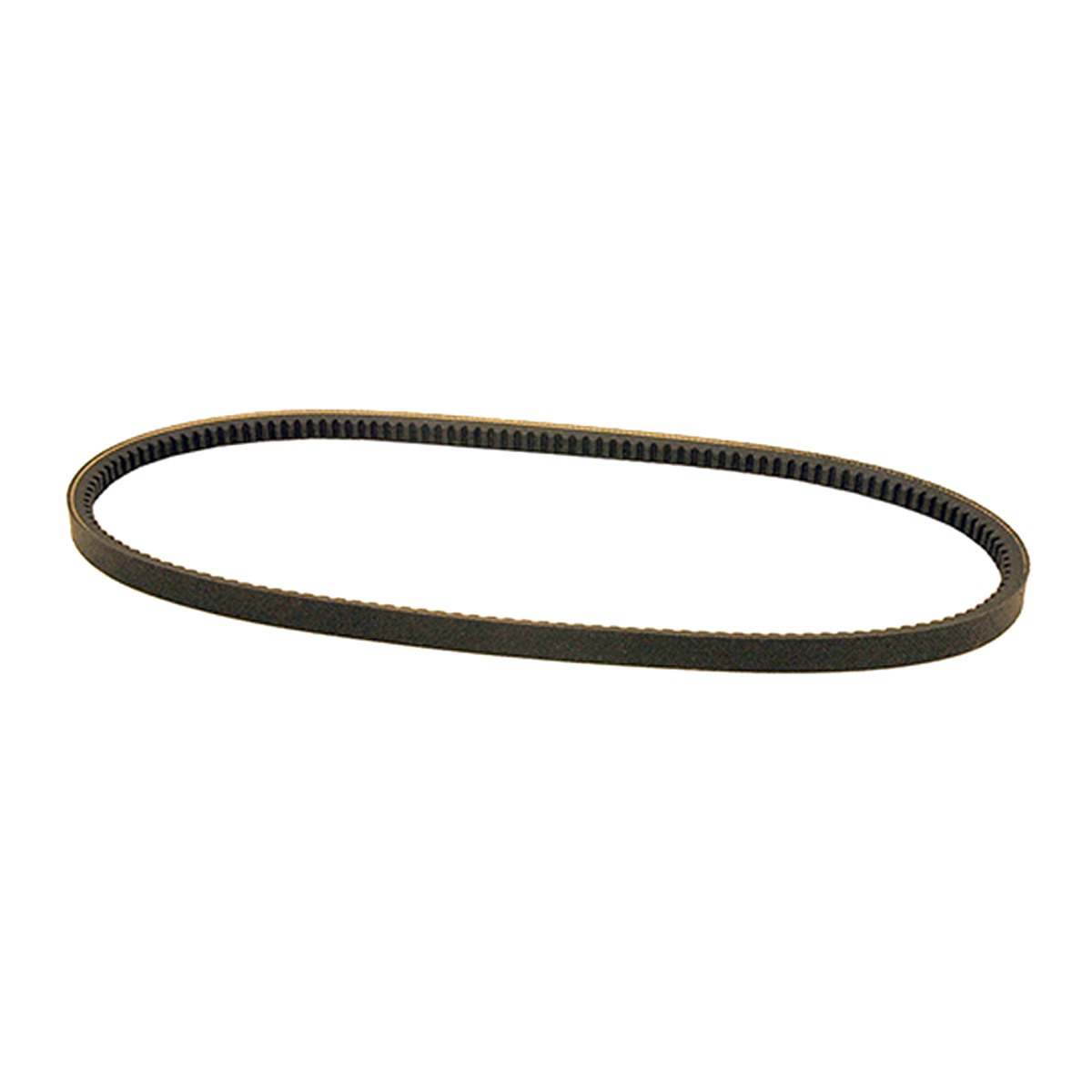 Courroie Rider 213, 214T/TC/C