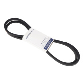 Ceinture 5895385-01 Ceinture 5895385-01