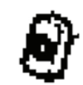 Noix 5895702-01 Noix 5895702-01