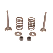 Kit de vannes 5993490-42 Kit de vannes 5993490-42