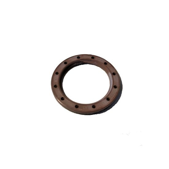 Joint radial avec insert PTFE 24,5 x 32,95 x 3,1