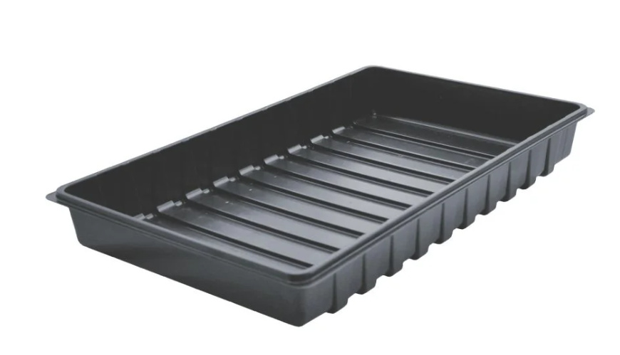 Auge De Culture 53X36X6 Cm 700224