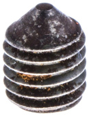 Vis S6Ss 8X10 Vis S6Ss 8X10