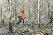 Husqvarna 545FXT Pack Forestier Husqvarna 545FXT Pack Forestier
