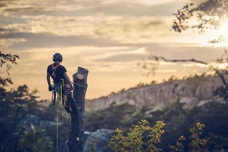 Husqvarna T540 XP® Mark III Tronçonneuse
