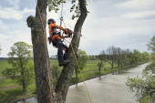 Husqvarna T540 XP® Mark III Tronçonneuse Husqvarna T540 XP® Mark III Tronçonneuse