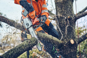 Husqvarna T542i XP® tronçonneuse à batterie pour les professionnels de l'entretien des arbres