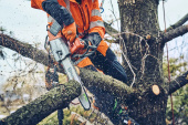 Husqvarna T542i XP® G tronçonneuse à batterie pour les professionnels de l'entretien des arbres Husqvarna T542i XP® G tronçonneuse à batterie pour les professionnels de l'entretien des arbres