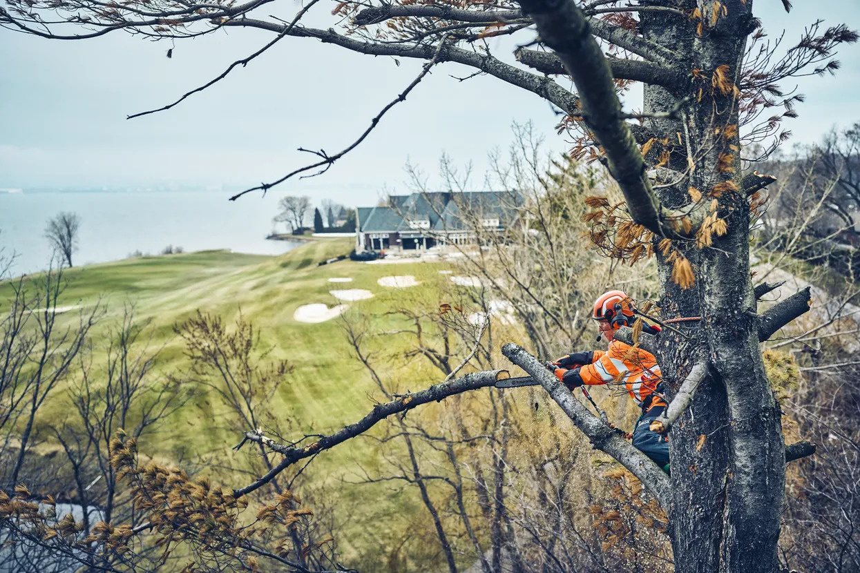 Husqvarna T542i XP® G tronçonneuse à batterie pour les professionnels de l'entretien des arbres