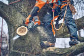 Husqvarna T542i XP® G tronçonneuse à batterie pour les professionnels de l'entretien des arbres