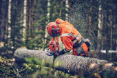 Husqvarna 560 XPG Mark II Tronçonneuse Husqvarna 560 XPG Mark II Tronçonneuse