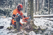 Husqvarna 560 XPG Mark II Tronçonneuse Husqvarna 560 XPG Mark II Tronçonneuse