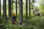 Husqvarna 450X Tronçonneuse Husqvarna 450X Tronçonneuse