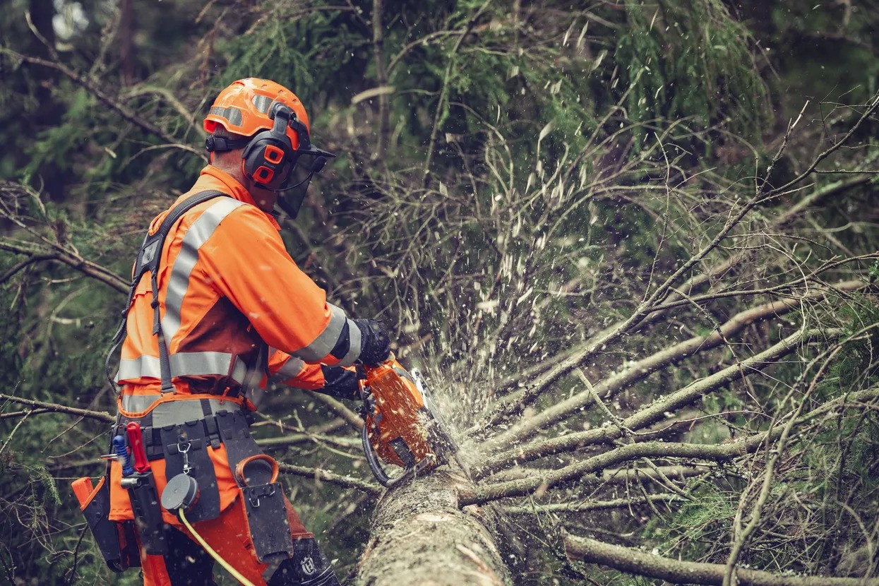 Husqvarna 564 XP® G Fuel Inject