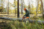 Husqvarna 435i incl. BLi30 et QC250 Husqvarna 435i incl. BLi30 et QC250