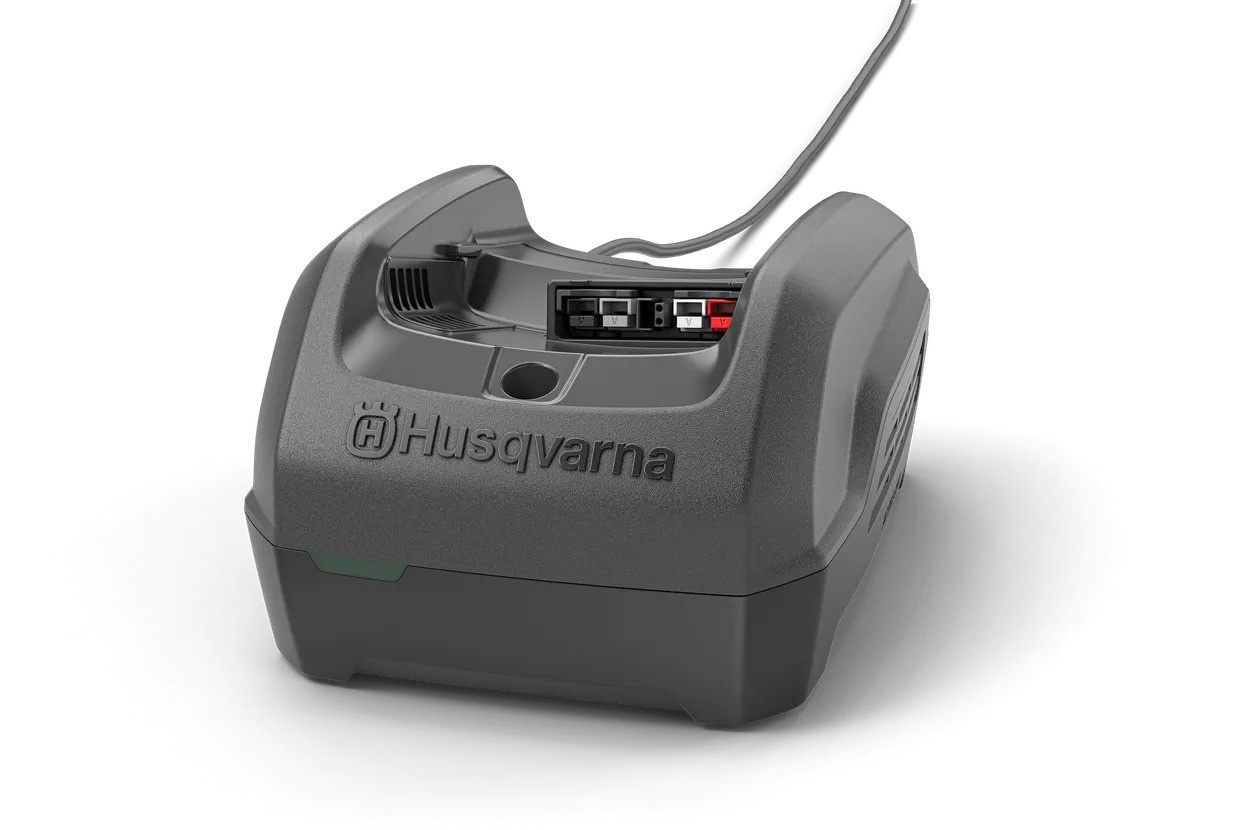 Chargeur de batterie C250
