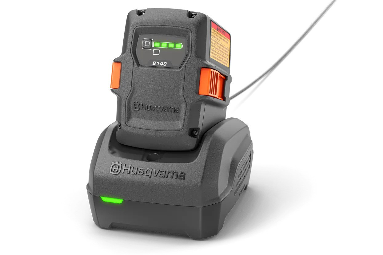 Chargeur de batterie C250