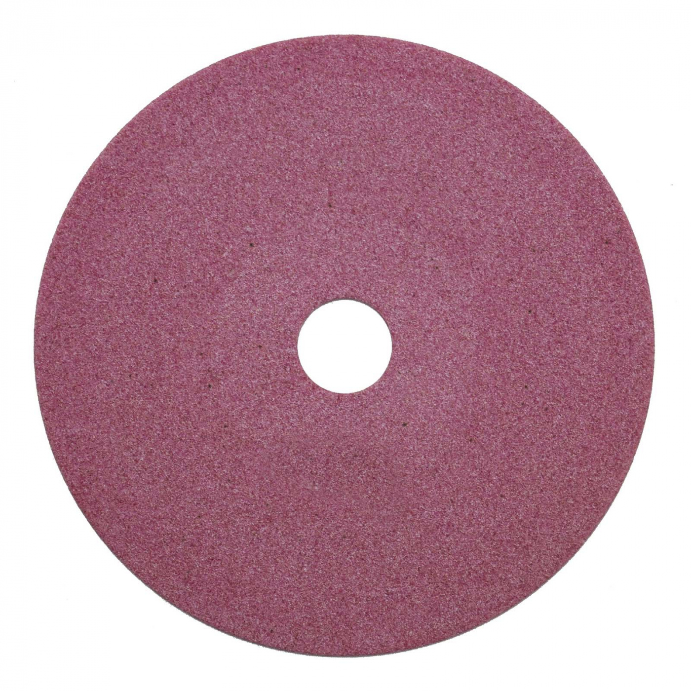 Disque abrasif pour CS220